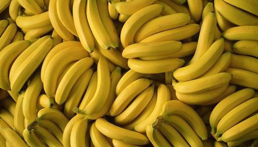 提供海南香蕉特产