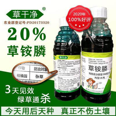 20%草铵膦-牛筋草小飞蓬等果园安全除草剂厂家批发